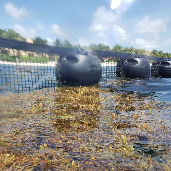 Floating barrier with DESMI logo controls seaweed near a tropical shoreline.